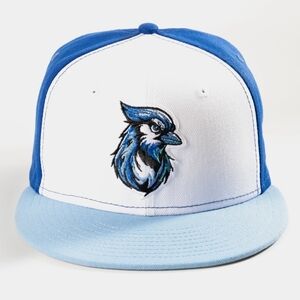 LIMITED EDITION NEW ERA "BLUE BIRDS" HAT! FITTED SIZE 7 3/4